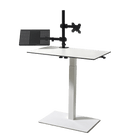 Monitor Arm Single with SELKA MAHTUVA L table